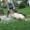 rezbari 2011 051